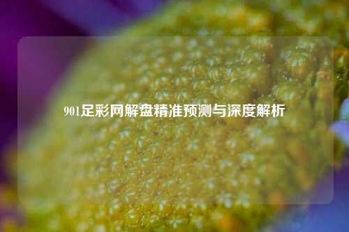901足彩网解盘精准预测与深度解析