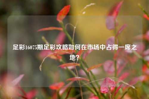 足彩16075期足彩攻略如何在市场中占得一席之地？