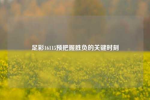 足彩16115预把握胜负的关键时刻