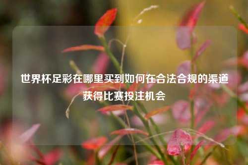 世界杯足彩在哪里买到如何在合法合规的渠道获得比赛投注机会