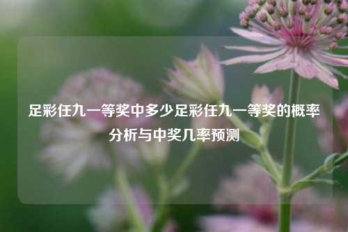 足彩任九一等奖中多少足彩任九一等奖的概率分析与中奖几率预测