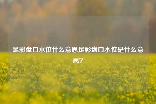 足彩盘口水位什么意思足彩盘口水位是什么意思？