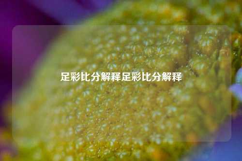 足彩比分解释足彩比分解释