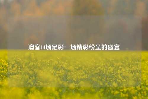 澳客14场足彩一场精彩纷呈的盛宴