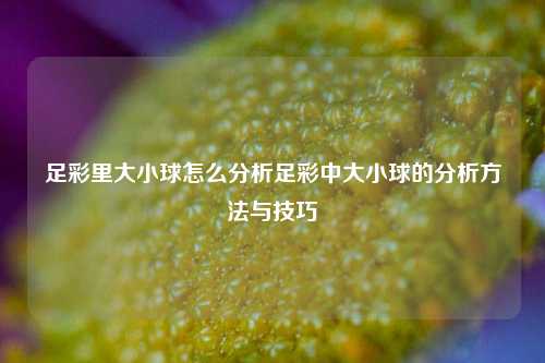 足彩里大小球怎么分析足彩中大小球的分析方法与技巧