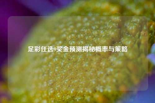 足彩任选9奖金预测揭秘概率与策略