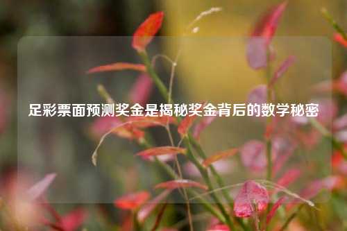 足彩票面预测奖金是揭秘奖金背后的数学秘密