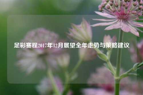 足彩赛程2017年12月展望全年走势与策略建议