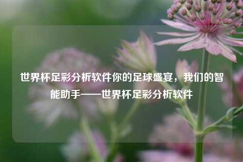 世界杯足彩分析软件你的足球盛宴，我们的智能助手——世界杯足彩分析软件