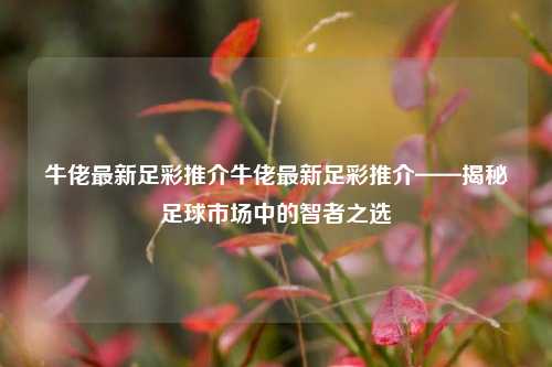 牛佬最新足彩推介牛佬最新足彩推介——揭秘足球市场中的智者之选