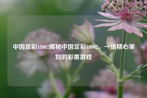 中国足彩18002揭秘中国足彩18002，一场精心策划的彩票游戏
