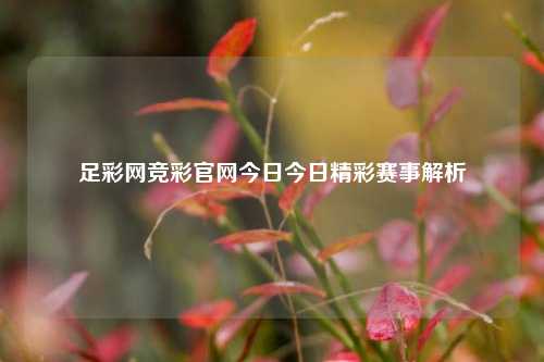 足彩网竞彩官网今日今日精彩赛事解析