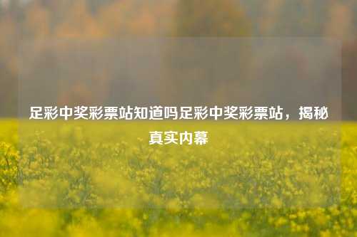 足彩中奖彩票站知道吗足彩中奖彩票站，揭秘真实内幕