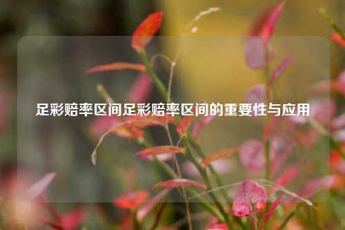足彩赔率区间足彩赔率区间的重要性与应用