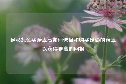 足彩怎么买赔率高如何选择和购买足彩的赔率以获得更高的回报