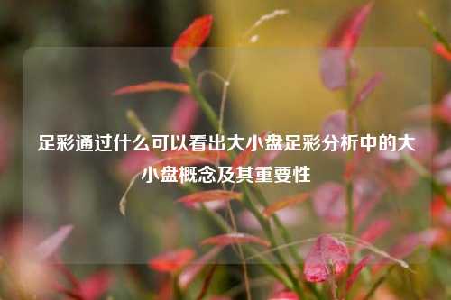 足彩通过什么可以看出大小盘足彩分析中的大小盘概念及其重要性