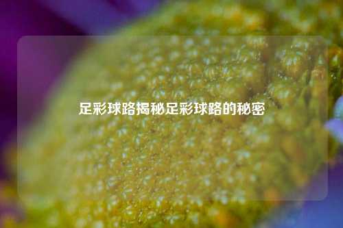 足彩球路揭秘足彩球路的秘密