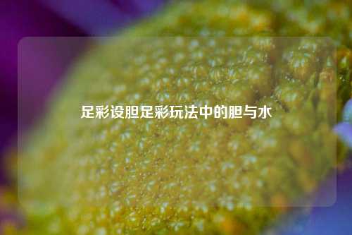 足彩设胆足彩玩法中的胆与水