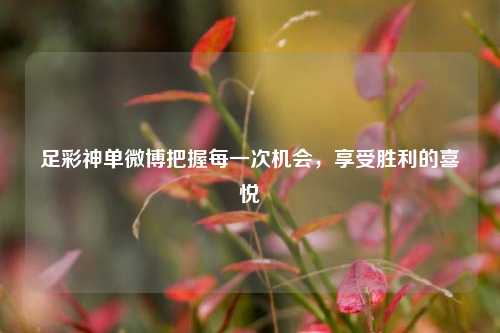 足彩神单微博把握每一次机会，享受胜利的喜悦