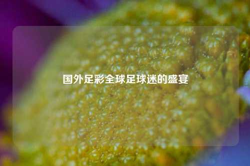 国外足彩全球足球迷的盛宴