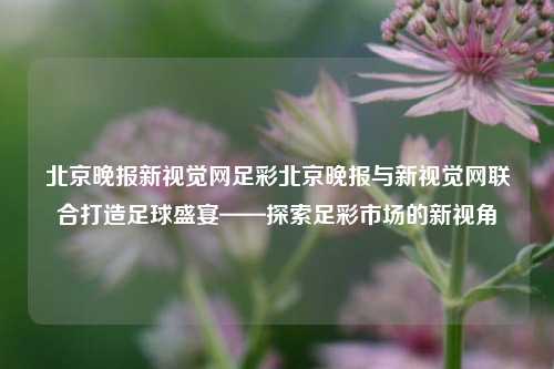 北京晚报新视觉网足彩北京晚报与新视觉网联合打造足球盛宴——探索足彩市场的新视角