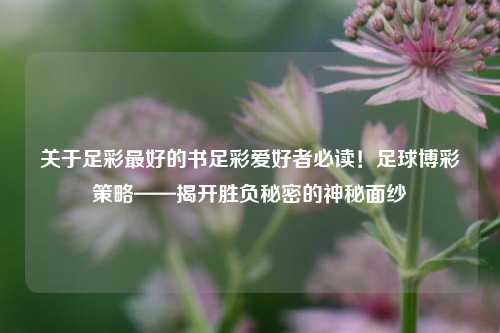 关于足彩最好的书足彩爱好者必读！足球博彩策略——揭开胜负秘密的神秘面纱