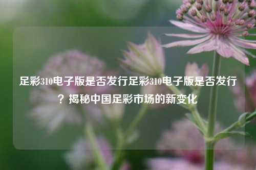 足彩310电子版是否发行足彩310电子版是否发行？揭秘中国足彩市场的新变化