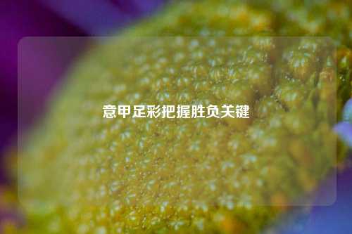 意甲足彩把握胜负关键