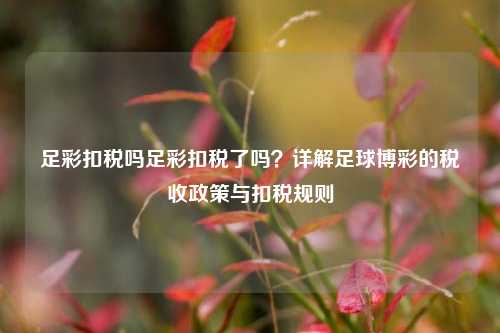 足彩扣税吗足彩扣税了吗？详解足球博彩的税收政策与扣税规则