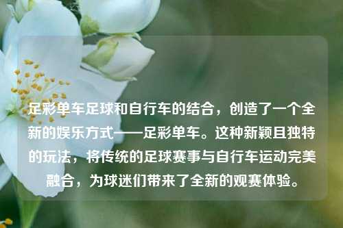 足彩单车足球和自行车的结合，创造了一个全新的娱乐方式——足彩单车。这种新颖且独特的玩法，将传统的足球赛事与自行车运动完美融合，为球迷们带来了全新的观赛体验。