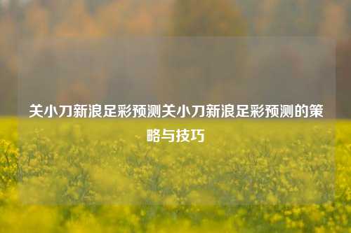 关小刀新浪足彩预测关小刀新浪足彩预测的策略与技巧