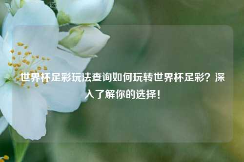 世界杯足彩玩法查询如何玩转世界杯足彩？深入了解你的选择！