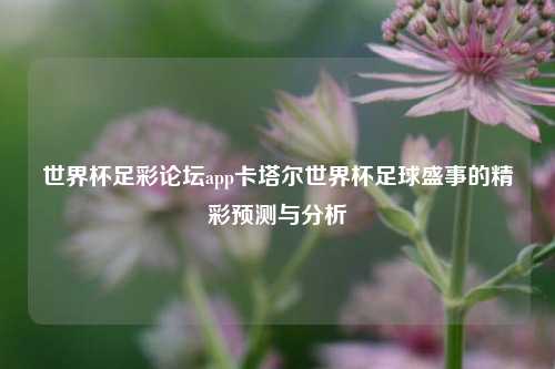 世界杯足彩论坛app卡塔尔世界杯足球盛事的精彩预测与分析