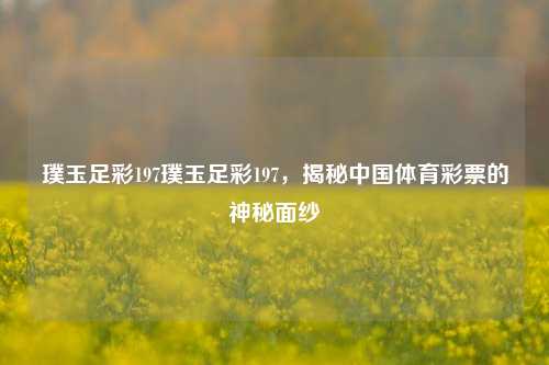 璞玉足彩197璞玉足彩197，揭秘中国体育彩票的神秘面纱
