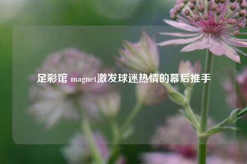 足彩馆 magnet激发球迷热情的幕后推手