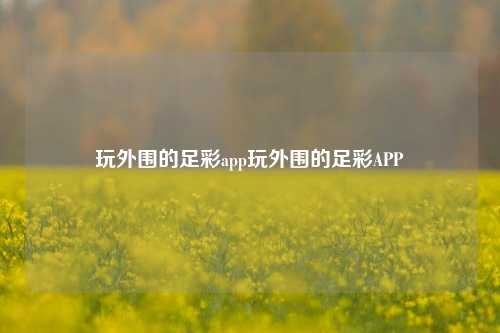 玩外围的足彩app玩外围的足彩APP