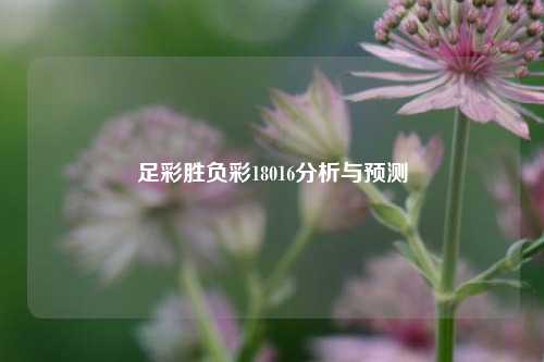 足彩胜负彩18016分析与预测
