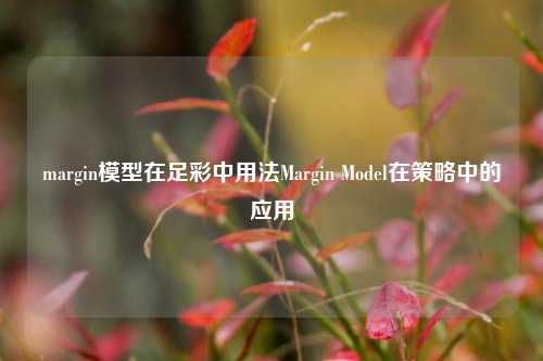 margin模型在足彩中用法Margin Model在策略中的应用