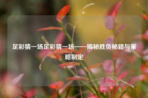 足彩猜一场足彩猜一场——揭秘胜负秘籍与策略制定