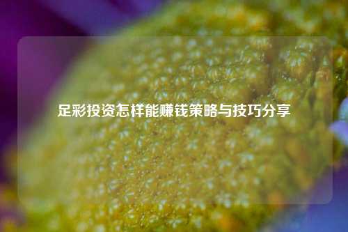 足彩投资怎样能赚钱策略与技巧分享
