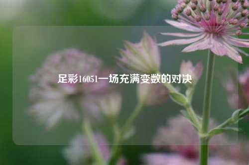 足彩16051一场充满变数的对决