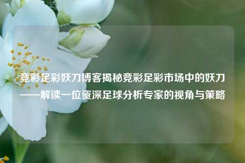 竞彩足彩妖刀博客揭秘竞彩足彩市场中的妖刀——解读一位资深足球分析专家的视角与策略