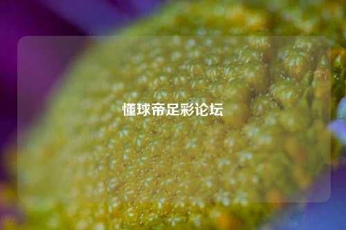 懂球帝足彩论坛
