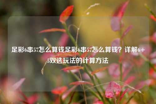 足彩6串57怎么算钱足彩6串57怎么算钱？详解6+5双选玩法的计算方法