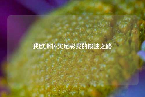我欧洲杯买足彩我的投注之路
