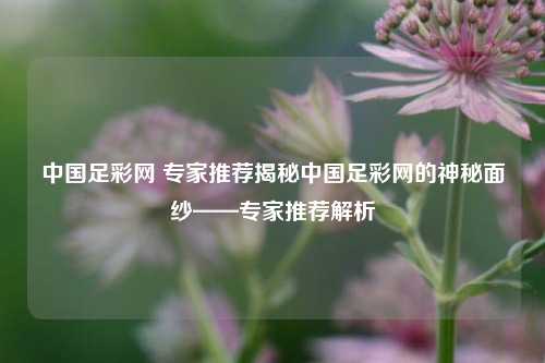 中国足彩网 专家推荐揭秘中国足彩网的神秘面纱——专家推荐解析