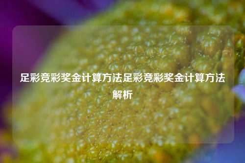 足彩竞彩奖金计算方法足彩竞彩奖金计算方法解析