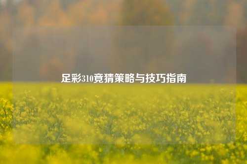 足彩310竟猜策略与技巧指南