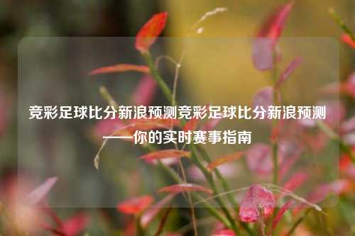 竞彩足球比分新浪预测竞彩足球比分新浪预测——你的实时赛事指南