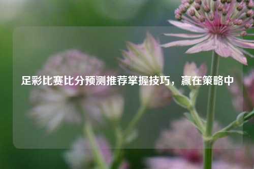 足彩比赛比分预测推荐掌握技巧，赢在策略中